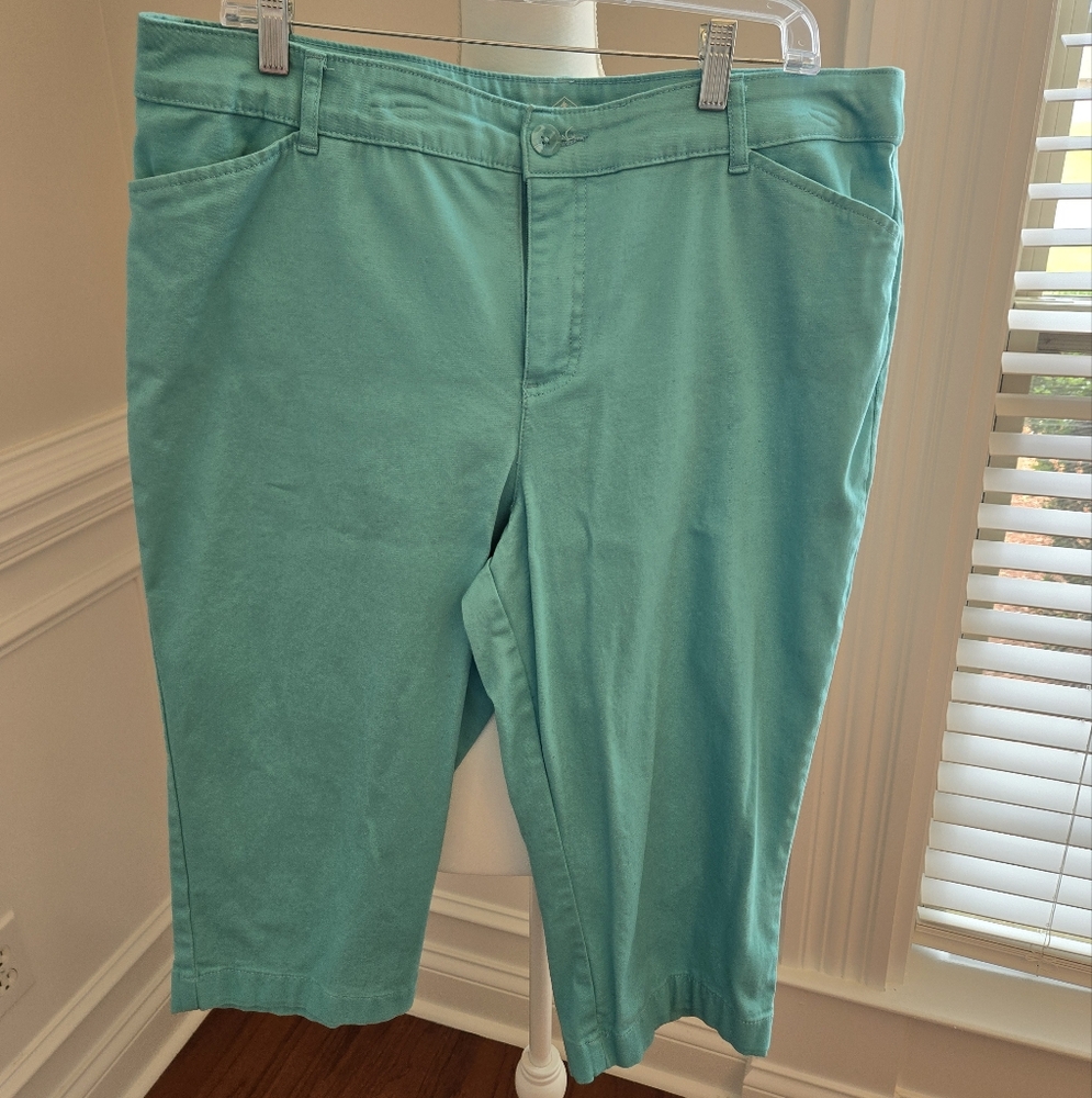 Turquoise Cropped Pants